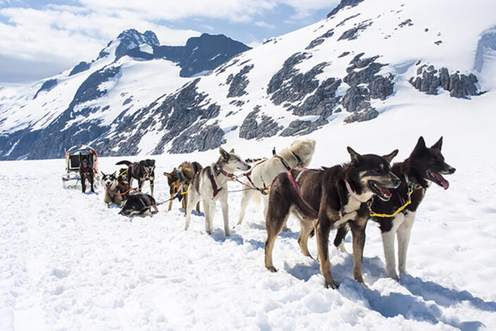 Sledging with the Lapland Husky Trail, Sweden